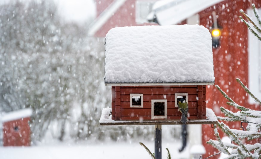 Rødt fuglehus med snø.